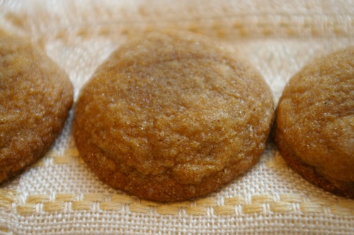 ginger-cookie-2.JPG